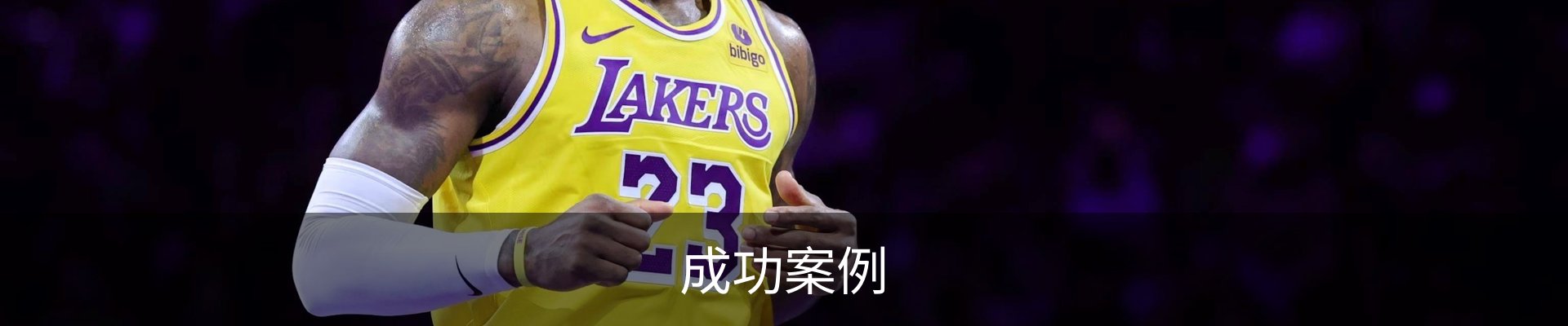 内页banner